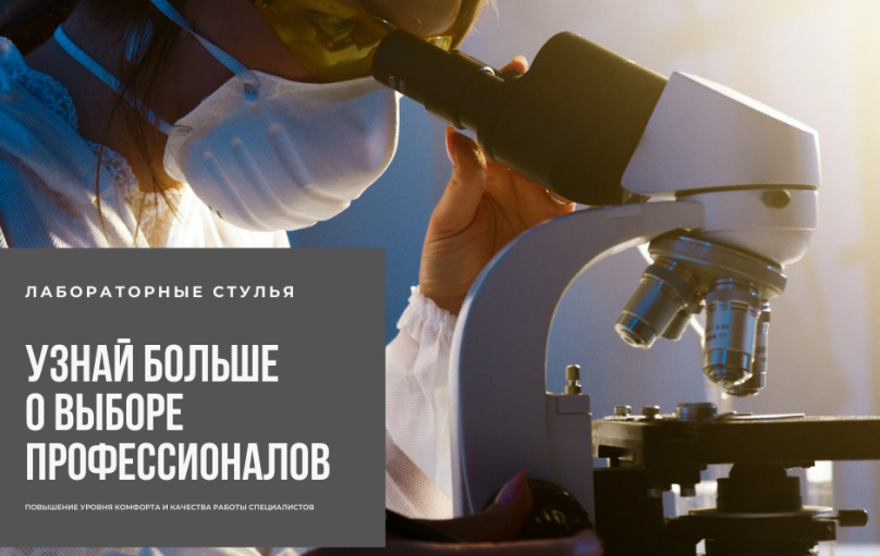 Лабораторные стулья: повышение уровня комфорта и качества работы специалистов Лабораторные стулья: повышение уровня комфорта и качества работы специалистов
